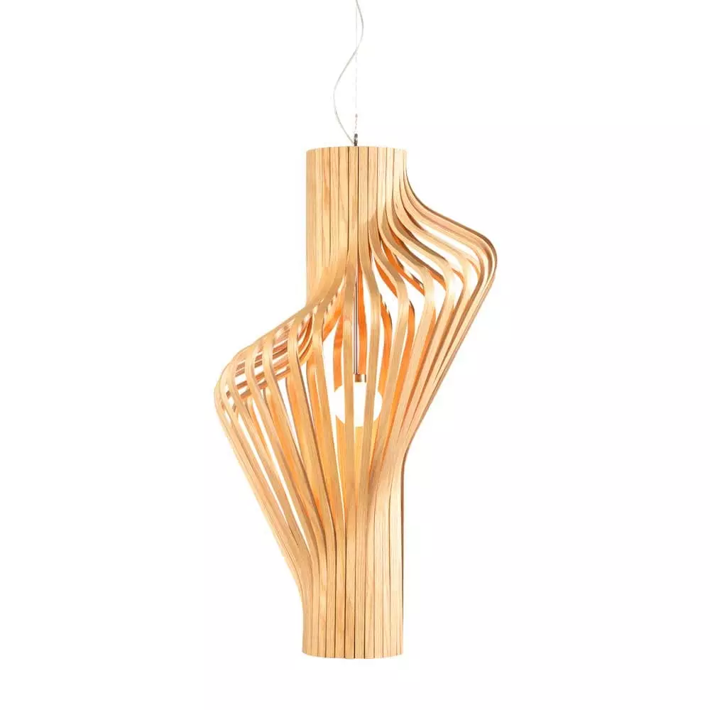 Northern Diva Riippuvalaisin, Tammi