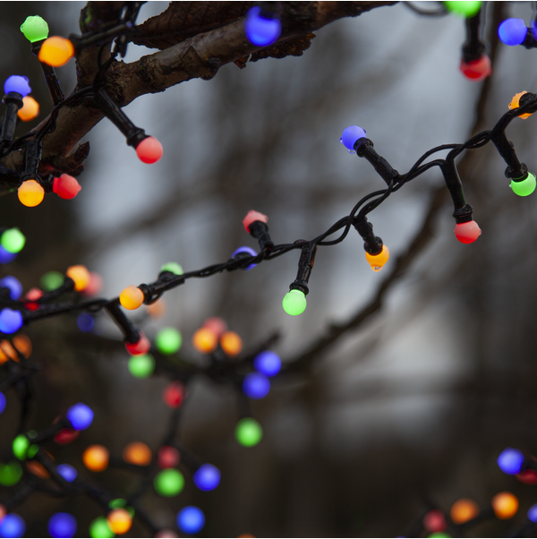 Star Trading Berry Mini Valosarja, Multi - Image 3