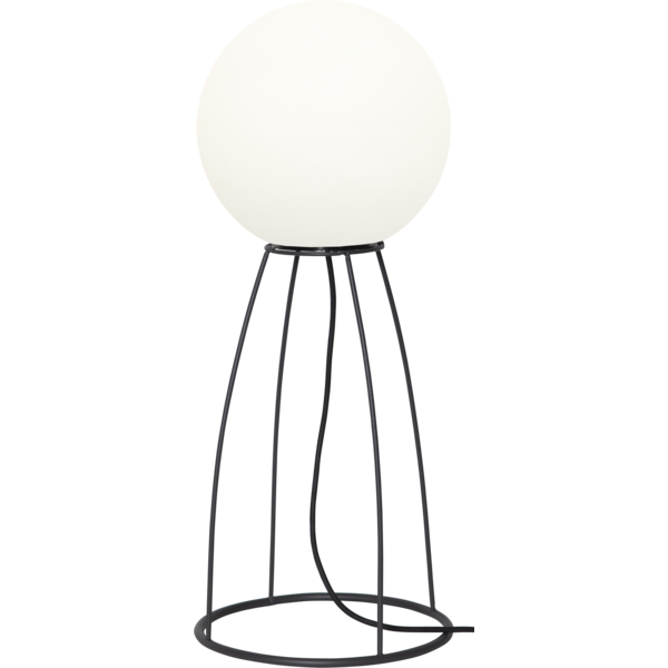 Star Trading Mallorca Lattiavalaisin, 70 Cm