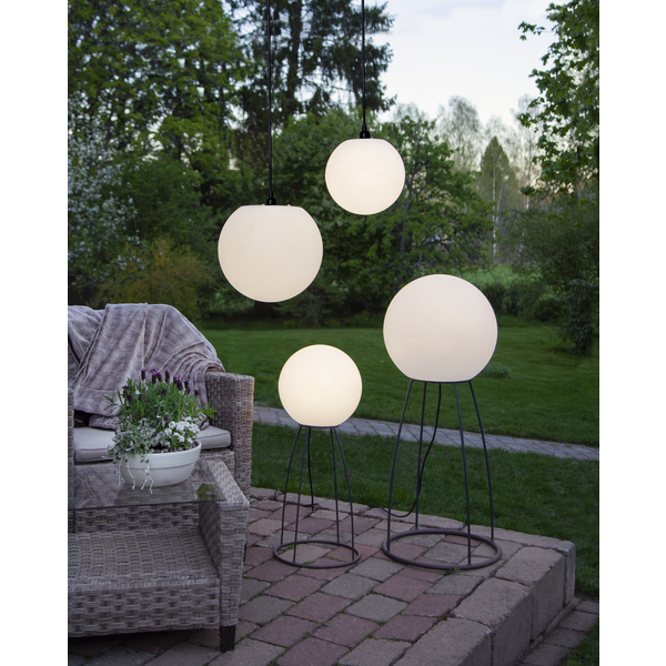 Star Trading Mallorca Lattiavalaisin, 70 Cm - Image 3