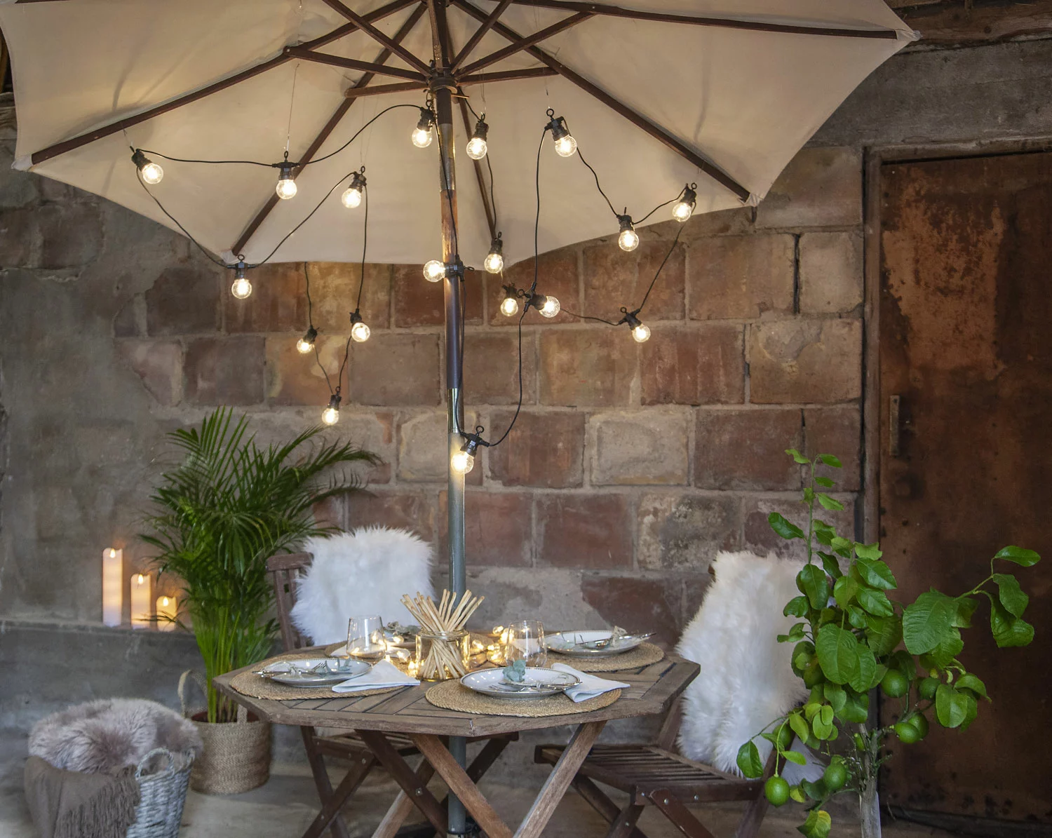 Star Trading Small Circus Light Strand 20 LED - Image 4