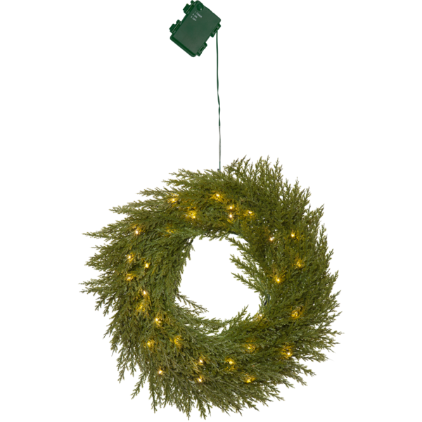 Star Trading Thuja Seppele